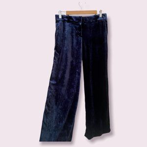 Ann Taylor Velvet Smoking Pants Atlantic Navy Color